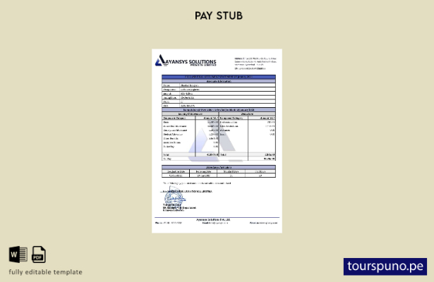 lista para imprimir plantilla de empresa de software de Ayansys Solutions